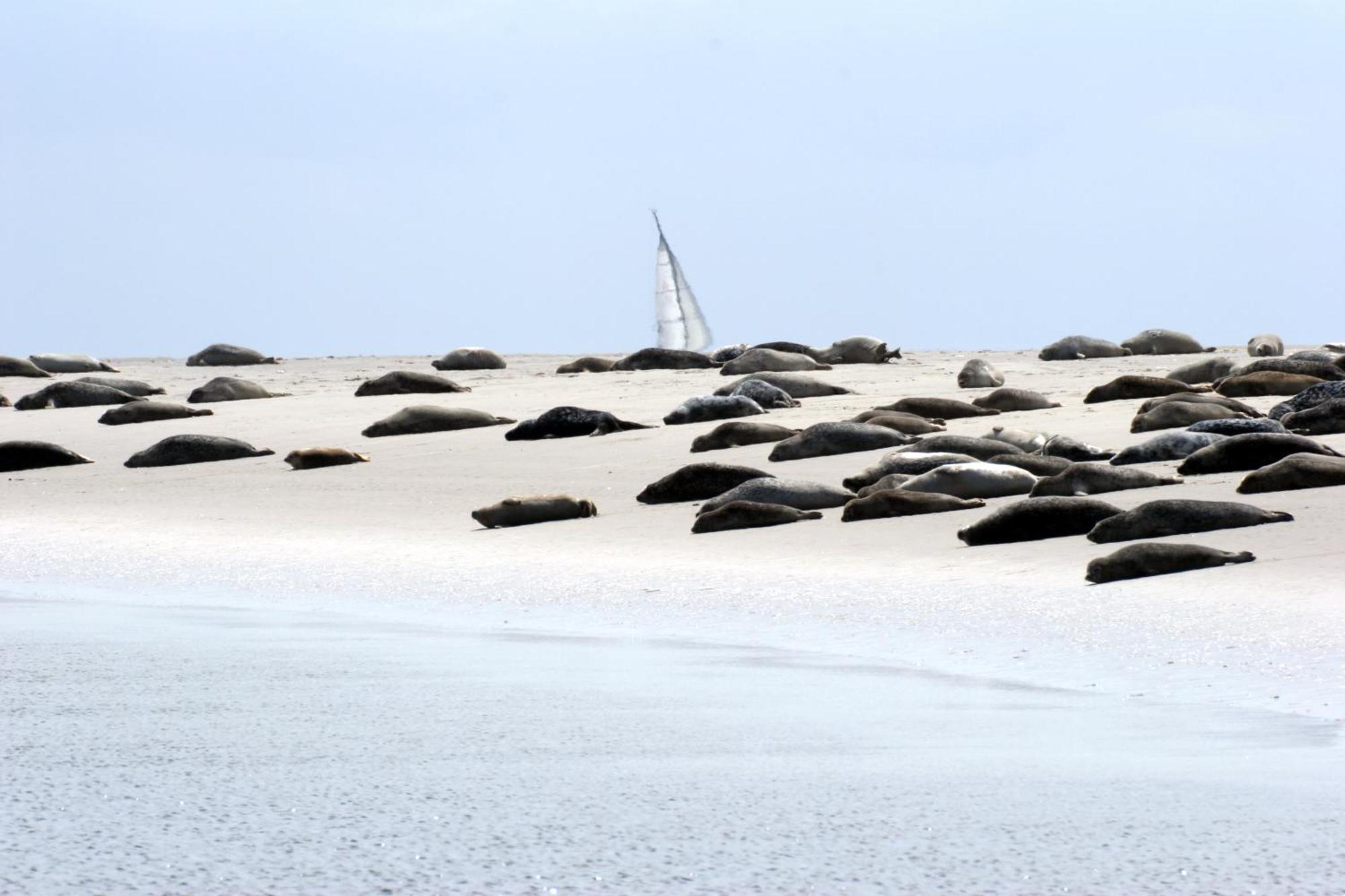 Borkumunterkunft - Woh7 - Im Herzen Der Insel ภายนอก รูปภาพ