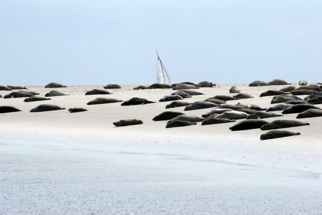 Borkumunterkunft - Woh7 - Im Herzen Der Insel ภายนอก รูปภาพ